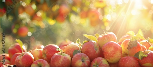 Autumn garden setting with ...