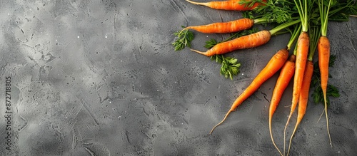 Top view of fresh carrots on a gray stone backdrop, with room for you to add text to the copy space image.