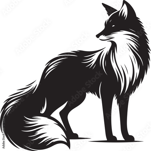 Illustration of a fox and silhouette