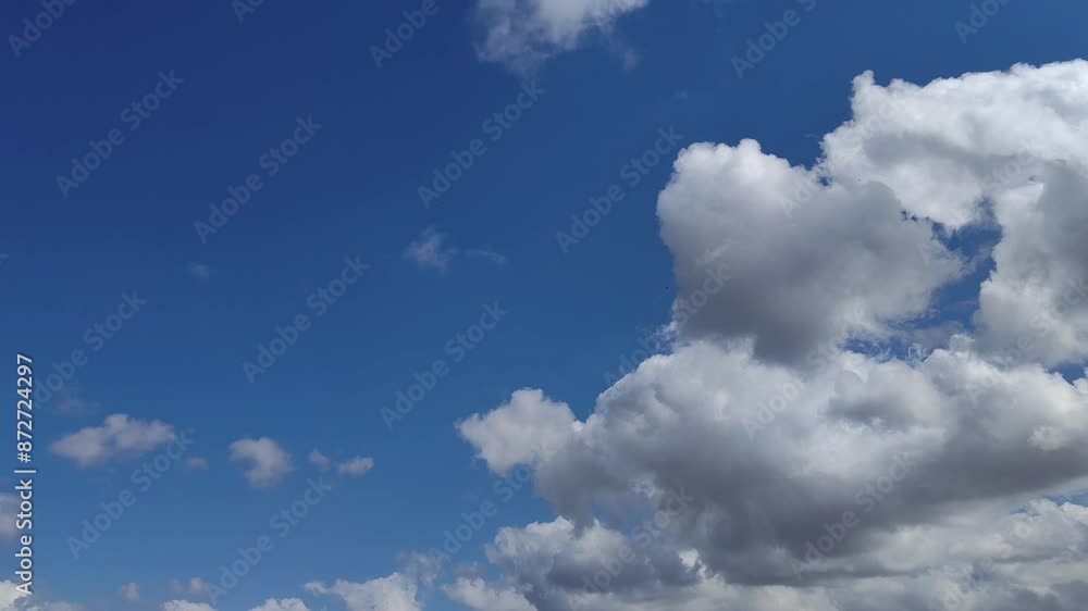 Birds flying through the sky in the morning with beautiful cumulus clouds Birds flying through the sky in the morning with beautiful cumulus clouds