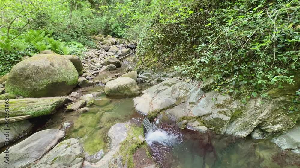Mountain river in the forest in summer. Mountain river in the forest in summer.