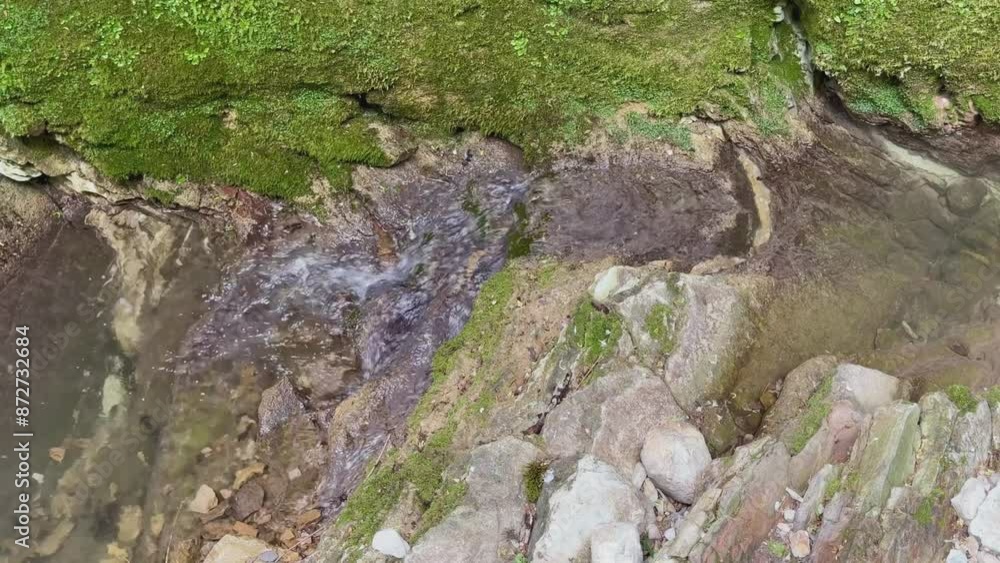 Mountain river in the forest in summer. Mountain river in the forest in summer.
