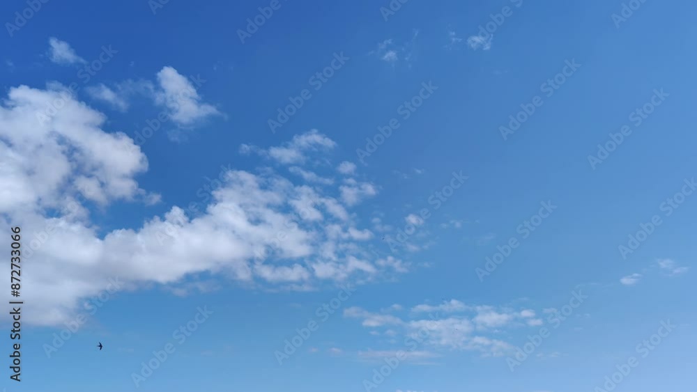 Birds fly as the clouds of balls part Birds fly as the clouds of balls part