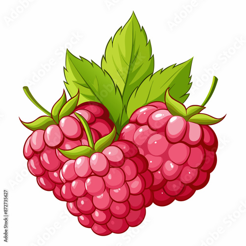 raspberries clipart cartoon Illustration drawing
