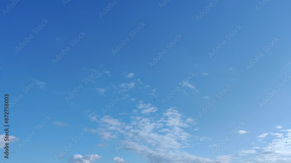 Birds fly in a sky illuminated with balls of clouds and cumulus clouds appearing timidly at dawn Birds fly in a sky illuminated with balls of clouds and cumulus clouds appearing timidly at dawn
