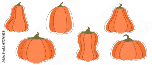 Big orange ripe pumpkins set in abstract flat style. Minimalistic monochrome pumpkins with decorative contour black lines. Isolated on white. Autumn harvest season. Natural products.