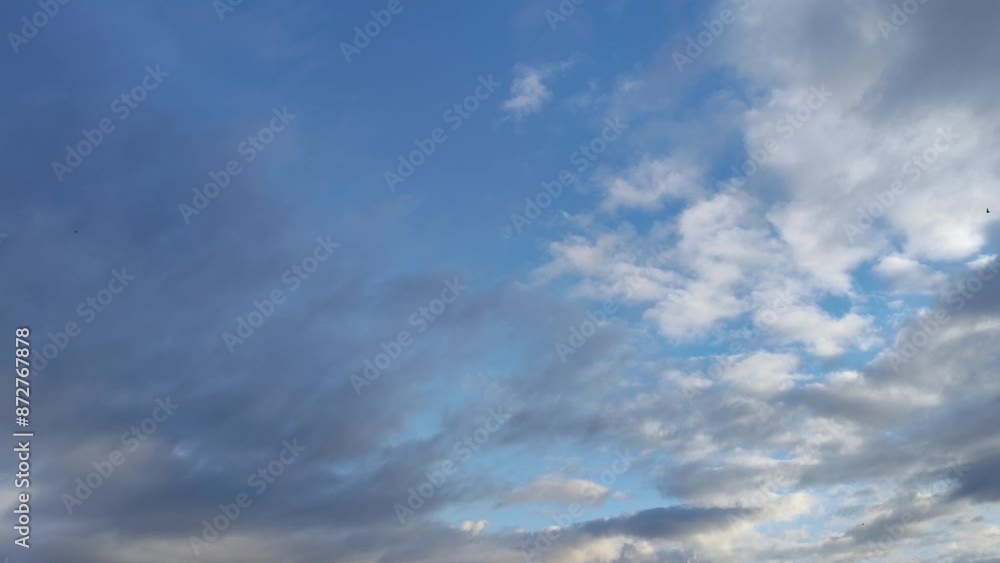 Split sky with dark orange clouds at dawn as birds fly Split sky with dark orange clouds at dawn as birds fly