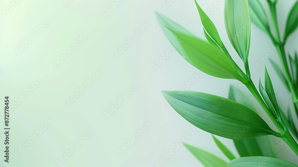 Fototapeta premium Vibrant green spring background with abstract elements, perfect for designs or presentations.
