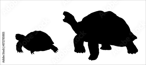 Black vector silhouette drawing with different land turtles. Comparison of the turtles.