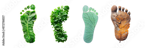 Human carbon footprint with leaf texture, Concepts of sustainable development and green business from renewable, Climate change, Global warming, isolated transparent background, Png file