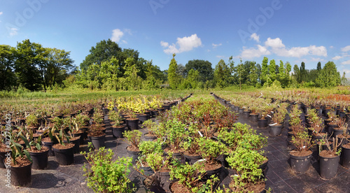 Canvastavla Plant Nursery in Summer with small growing plants in Pots for professional Garde