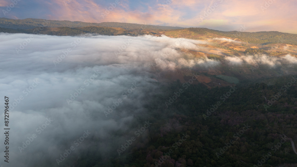 Fototapeta premium Dense fog and sunrise over the Grand Canyon mountains.