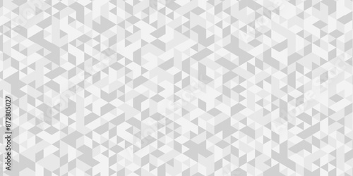 Vector Seamless geometric pattern with shapes. Abstract geometric background triangle wallpaper. White and Gray polygonal background.