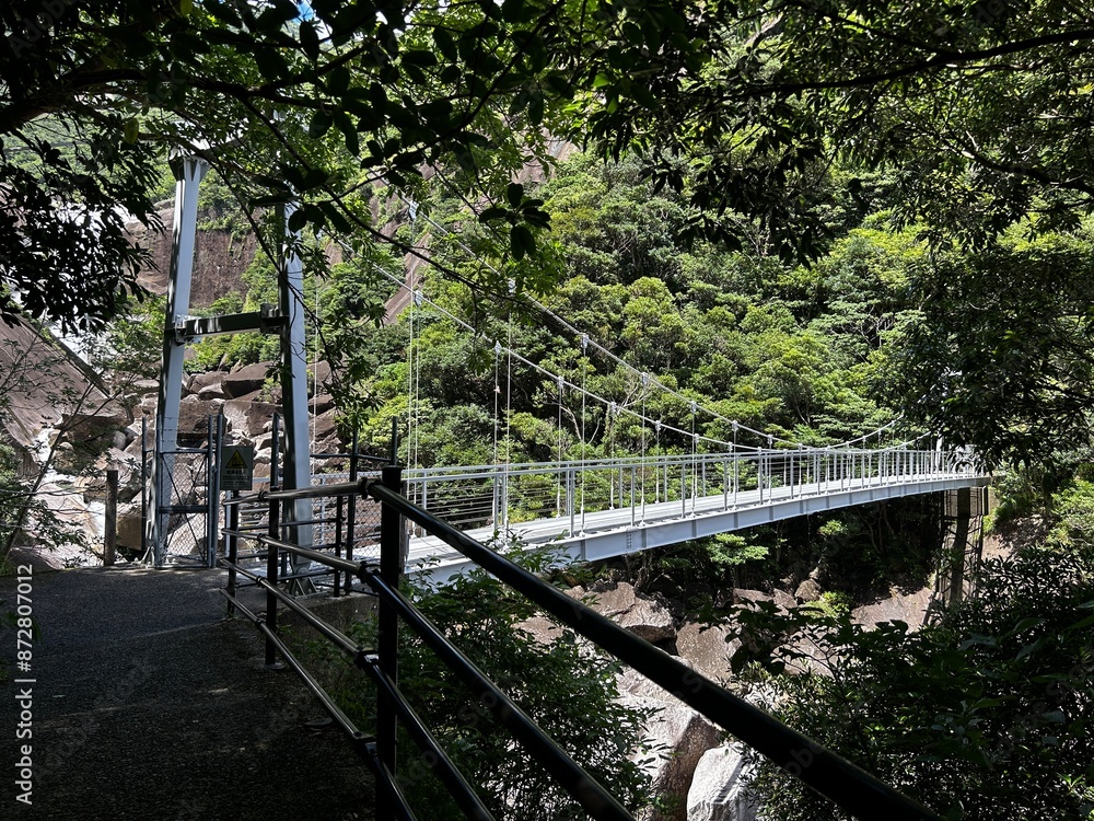 Obraz premium Senpiro-taki Falls are grand waterfalls representative of Yakushima Island , Yakushima is a World Heritage Site island located in Kagoshima Prefecture, Kyushu, Japan