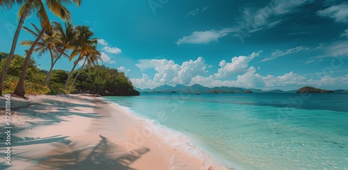 Tropical Beach With Palm Trees and Clear Blue Water in the Philippines
