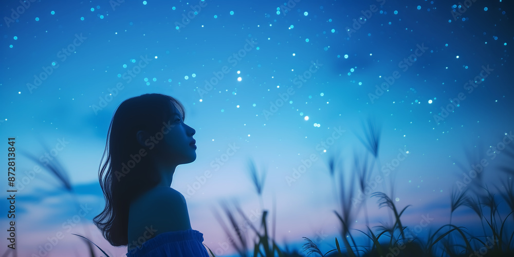 星空を眺める女性 星空を眺める女性