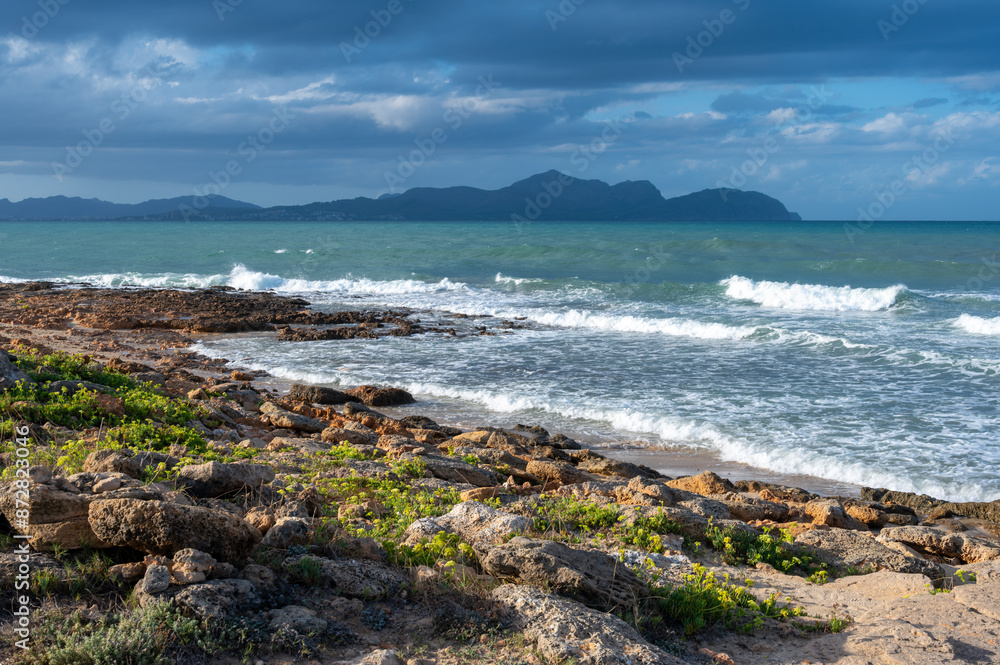 beach and sea beach and sea