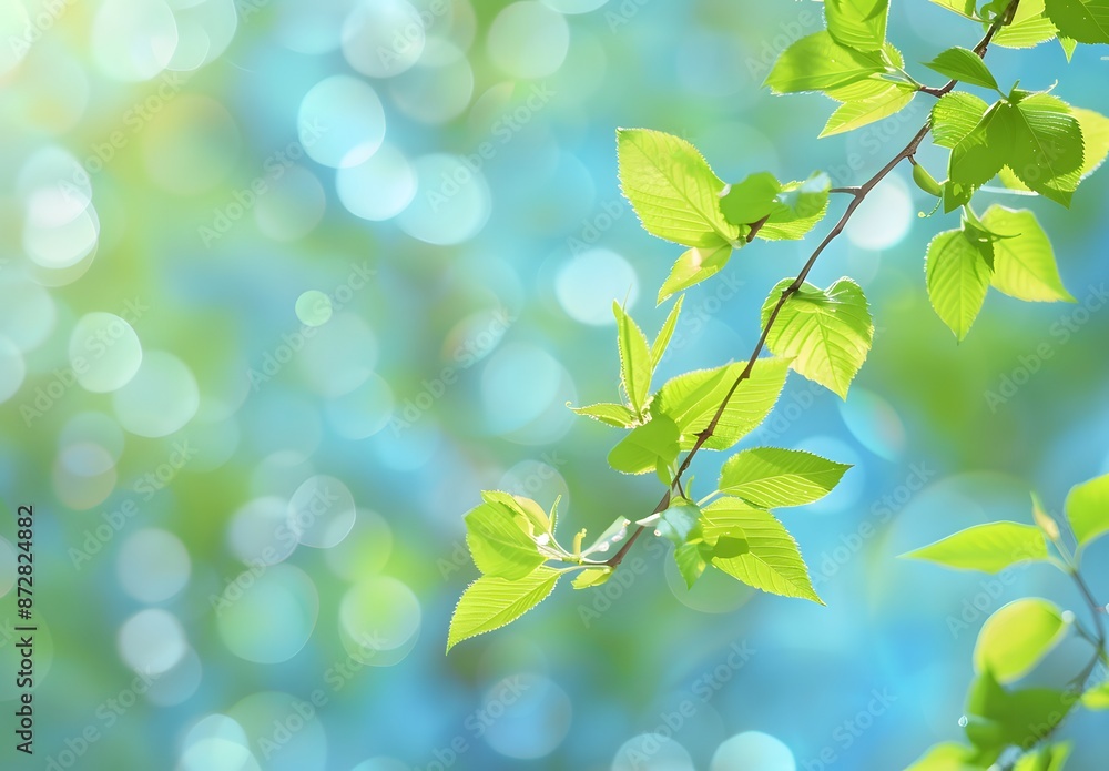 Blurred Spring Leaves Bokeh Background Blurred Spring Leaves Bokeh Background