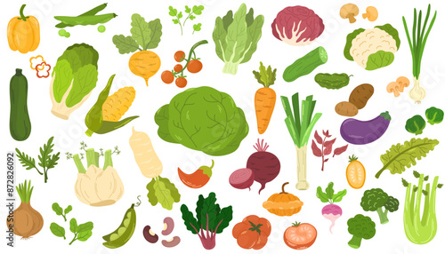 Collection of various vegetables isolated on white background. Healthy vegetarian food. Bundle of organic natural crops, salads, greens and herbs. Colorful vector illustration in flat cartoon style