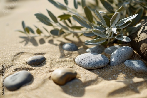 A picturesque scene featuring various stones and vibrant plants on a sandy beach, illustrating the tranquility of nature, Plant with green leaves and stones on sandy beach, AI generated