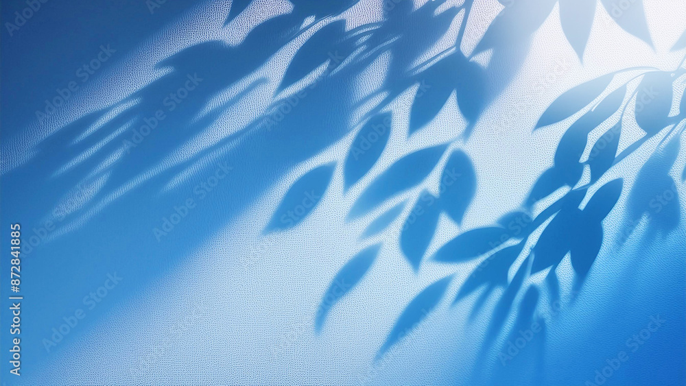 Fototapeta premium 葉の影、ブルーの背景