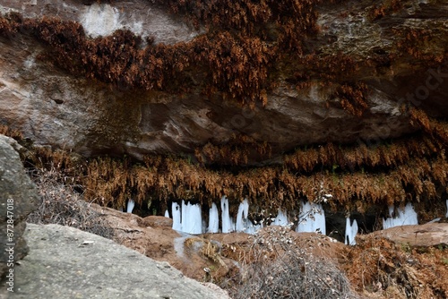 A Fern cave in Caprock Canyon State Park photo