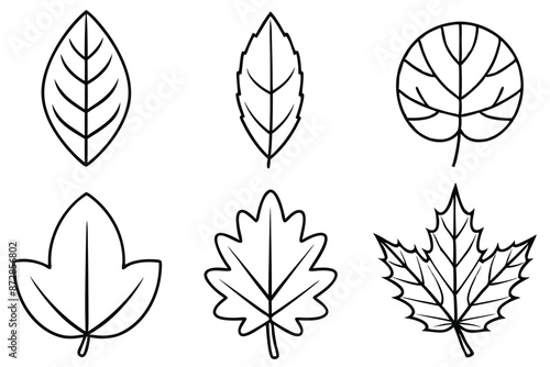 Leaves Clipart Line Art