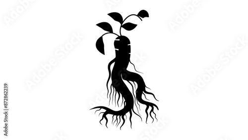 Ginseng emblem, black isolated silhouette