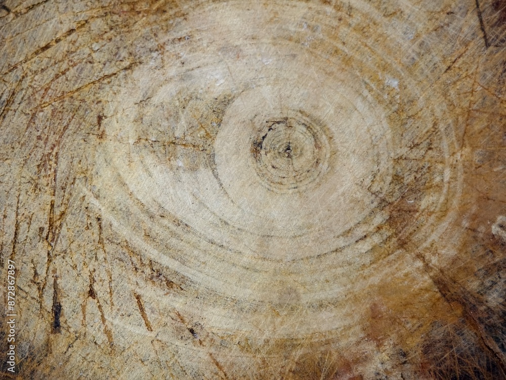 Naklejka premium wood texture