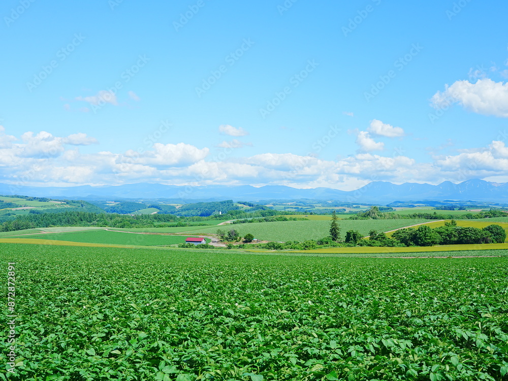 北海道の絶景 美瑛かしわ公園からの風景 北海道の絶景 美瑛かしわ公園からの風景