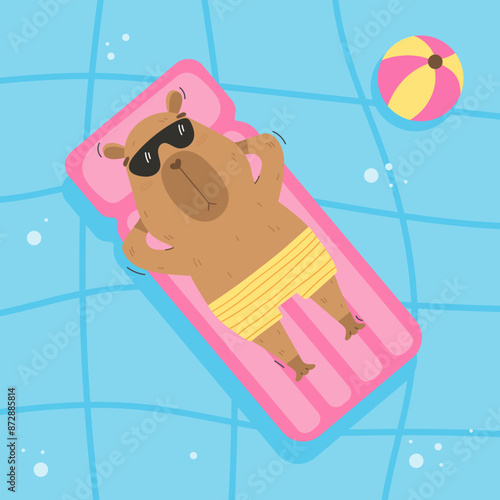 Funny capybara floating on air mattress