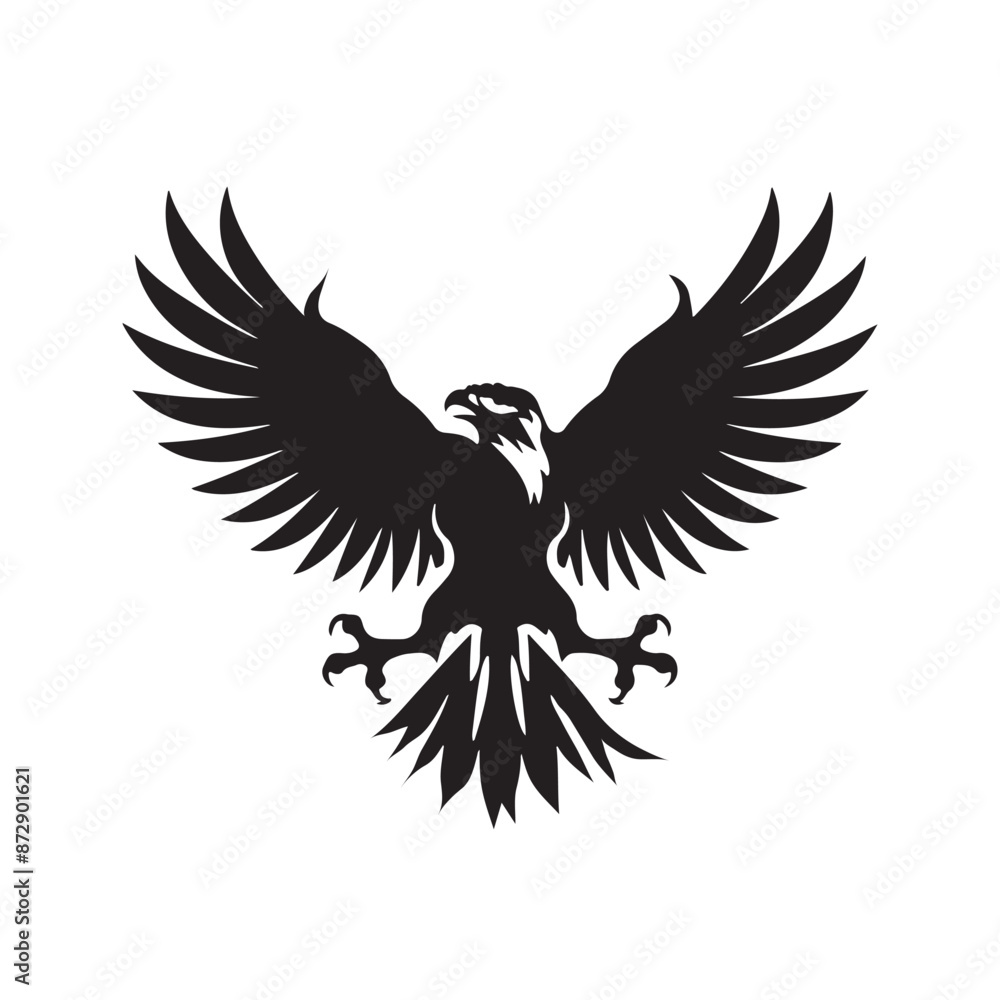 Obraz premium eagle in flight