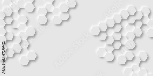 Luxury white and grey hexagonal abstract background with shadow. Geometric 3d texture illustration. hexagon concept design abstract technology background vector. Modern simple style hexagonal graphic.