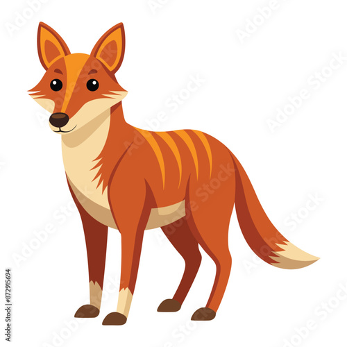 Illustration of Dhole animal on white