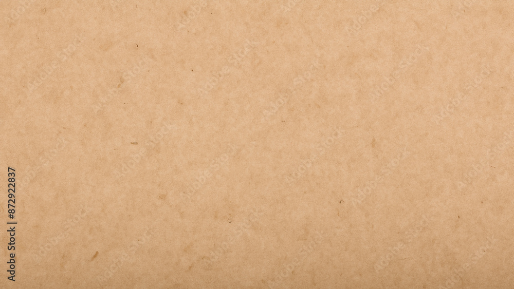 Obraz premium Brown Paper Texture for Backgrounds