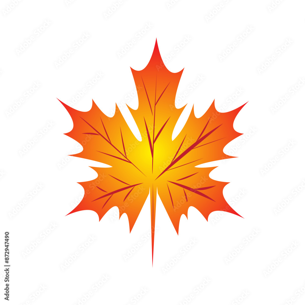 maple leaf illustration maple leaf illustration