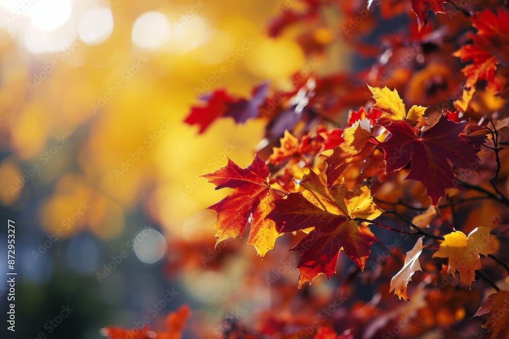 web banner design for autumn season and end year activity with red and yellow maple leaves with soft focus light and bokeh background, AI generated web banner design for autumn season and end year activity with red and yellow maple leaves with soft focus light and bokeh background, AI generated