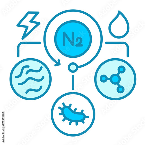 29-Denitrification.svg