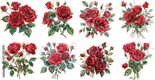 red rose watercolor clipart
