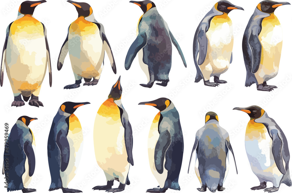 Fototapeta premium penguin watercolor clipart