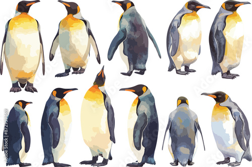penguin watercolor clipart