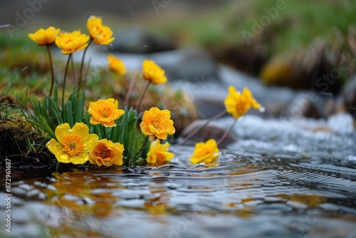Bright yellow flowers bloom by a tranquil stream with rippling water, capturing a serene and picturesque moment in nature's vibrant beauty