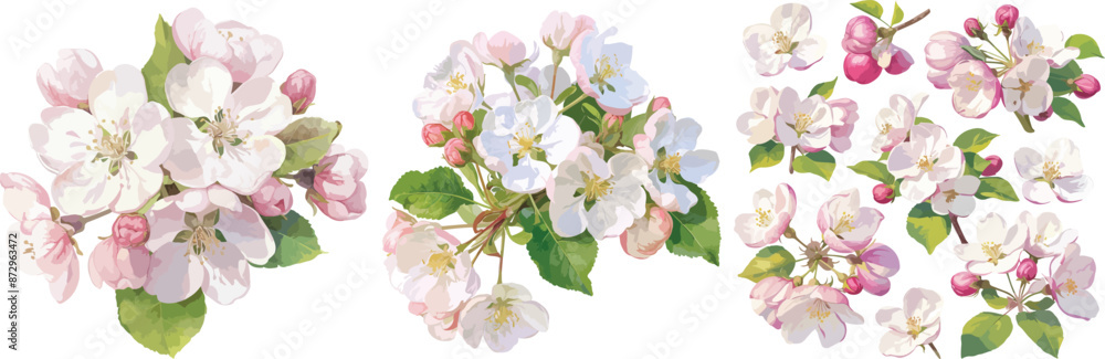 apple blossom watercolor clipart apple blossom watercolor clipart