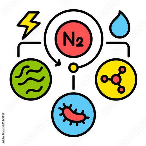 29-Denitrification.svg