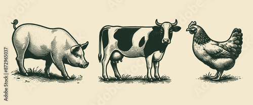 Farm animals. Cow, pig, chicken. Beef, pork, chicken.  Old vintage engraving illustration. Hand drawn outline graphic. Logo, emblem, icon. Isolated object, cut out. black and white	