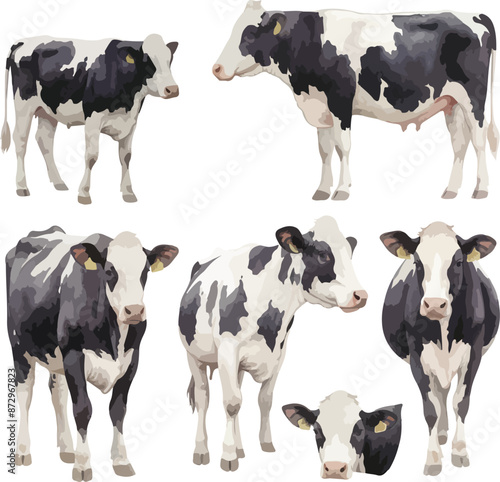 holstein watercolor clipart