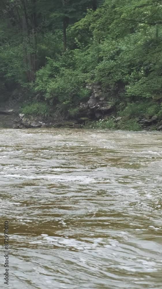 Vertical video, Wild full-flowing river flowing in mountain forest. Spring flood in nature. Green trees leaves over brown water flow of fast river stream. River moving in mountains landscape Vertical video, Wild full-flowing river flowing in mountain forest. Spring flood in nature. Green trees leaves over brown water flow of fast river stream. River moving in mountains landscape