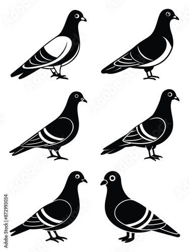 Silhouette Vector Set of  Pigeon dove bird