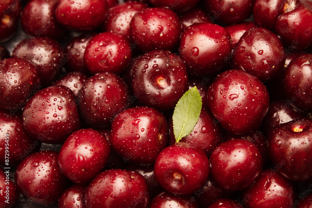 juicy, delicious cherries in a splash of water on a dark background. juicy, delicious cherries in a splash of water on a dark background.