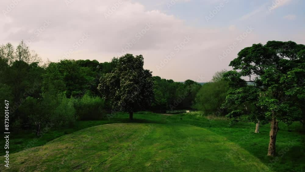 Park lawn grass with tall trees woodland in England wide aerial Park lawn grass with tall trees woodland in England wide aerial
